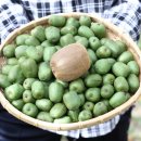 다래유통 이미지