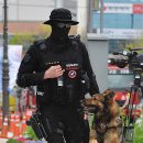 동물의 왕국 이미지