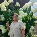 미리네농장 이미지