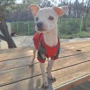 동해대로 이미지