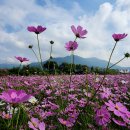 가조온천 이미지