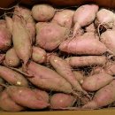 류진농장 이미지