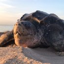 (주)거북 이미지