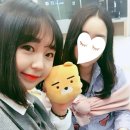 큰나무몰 이미지