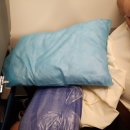 에어라인 | [필리핀] 세부에서 한국 비행시간 / 필리핀 에어라인(PR0484) 후기 / 기내식, 위탁수화물