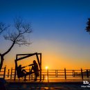 나도 스마트폰 사진작가 이미지