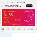 메인스트리트 이미지