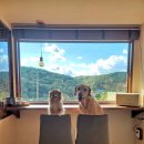 당진힐링펜션 이미지