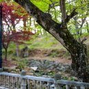 논개생가지 이미지