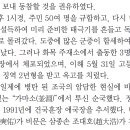 부엉덤이 Daum카페