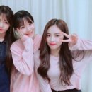 나인쓰리 이미지