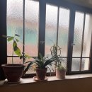 독일의원 | [독일 유학 일기] 21 공보험을 이용한 Hausarzt 의원 후기