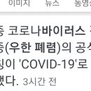 Re: 우한 폐렴 왜 그렇게 corvid 19로 만들었는가에 대하여 강연을 이미지