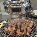 돗배갈매기 이미지
