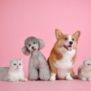 에이알씨(주) 이미지