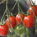 미정농장 이미지