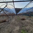 현곡농장2 이미지