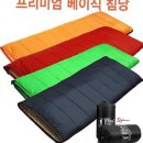 에코스타 이미지