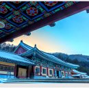 단청 Daum카페