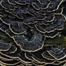 안성농장 이미지