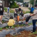 개곡초교 이미지