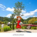 태화강국가정원 이미지