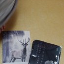 세민한의원 | 평강한의원 구전녹용 금지옥엽 우리아이보약 건강지킴이!