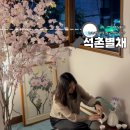 서울 잠실 에어비앤비 석촌별채 롯데월드 가성비 숙소 추천