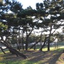 경기둘레길 평택46코스 이미지