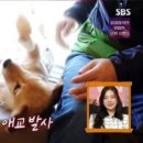 봉희농장 이미지