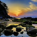궁촌 Daum카페