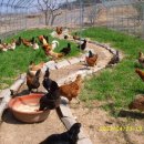 변산농장 이미지