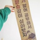 바른개 생활 이미지