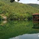 봉암수퍼 뉴시스