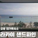 파인리조트 | 라카이 샌드파인 리조트 트리오룸 후기｜친구 가족과 강릉 여행 숙소