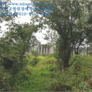 삼현보건진료소 이미지