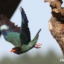 연일읍 중명리 이미지