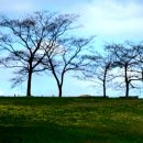 올림픽공원 이미지