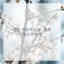 청소꾼들
