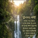 늙어서 죽는 것이 아니다 이미지