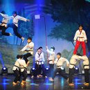 비바츠LED 태권발레 이미지