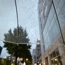 우정세탁 | 학동역 맛집 우정양곱창 웨이팅 :: 숯불향 미쳤던 내돈내산 솔직후기