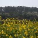 삿갓농장 이미지