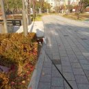 도두머리공원 이미지