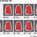 일등급축산