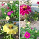 덕분농장 이미지