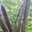 송정발전소 이미지