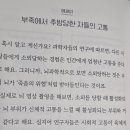 라디연 이미지