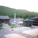 삼광사 이미지