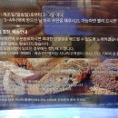 시나피샌드위치대전 티스토리